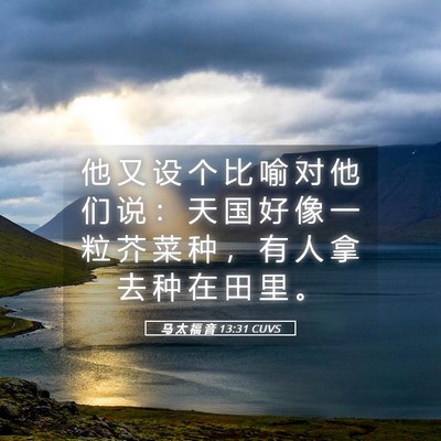 Picture 05 - 马 太 福 音 13:31 CUVS - 他 又 设 个 比 喻 对 他 们 说 ： 天 - Bible Verse Picture