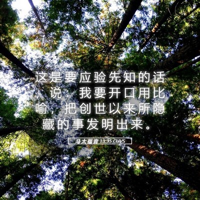 Picture 05 - 马 太 福 音 13:35 CUVS - 这 是 要 应 验 先 知 的 话 ， 说 ： - Bible Verse Picture