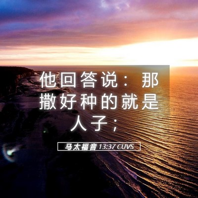 Picture 05 - 马 太 福 音 13:37 CUVS - 他 回 答 说 ： 那 撒 好 种 的 就 是 - Bible Verse Picture