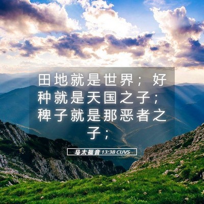Picture 05 - 马 太 福 音 13:38 CUVS - 田 地 就 是 世 界 ； 好 种 就 是 天 - Bible Verse Picture