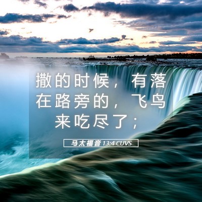 Picture 05 - 马 太 福 音 13:4 CUVS - 撒 的 时 候 ， 有 落 在 路 旁 的 ， - Bible Verse Picture