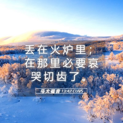 Picture 05 - 马 太 福 音 13:42 CUVS - 丢 在 火 炉 里 ； 在 那 里 必 要 哀 - Bible Verse Picture