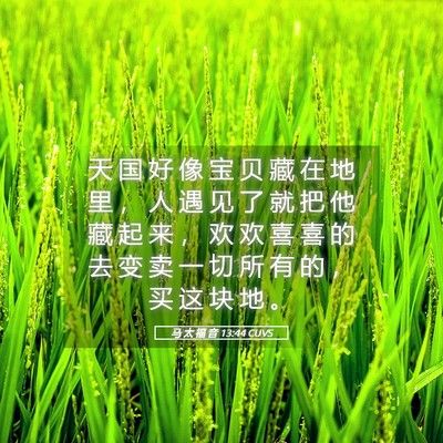 Picture 05 - 马 太 福 音 13:44 CUVS - 天 国 好 像 宝 贝 藏 在 地 里 ， 人 - Bible Verse Picture