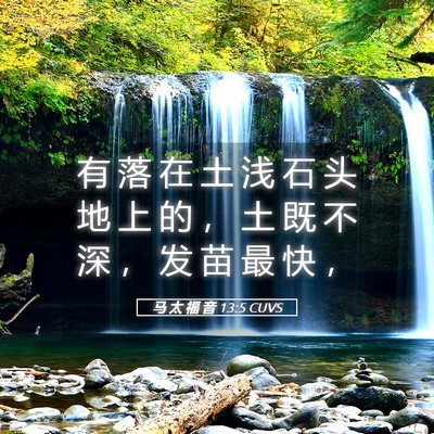 Picture 05 - 马 太 福 音 13:5 CUVS - 有 落 在 土 浅 石 头 地 上 的 ， 土 - Bible Verse Picture