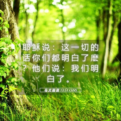 Picture 05 - 马 太 福 音 13:51 CUVS - 耶 稣 说 ： 这 一 切 的 话 你 们 都 - Bible Verse Picture