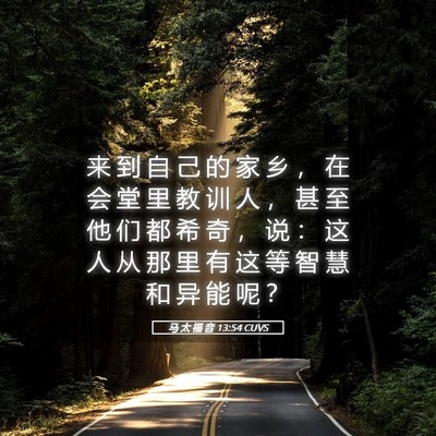 Picture 05 - 马 太 福 音 13:54 CUVS - 来 到 自 己 的 家 乡 ， 在 会 堂 里 - Bible Verse Picture