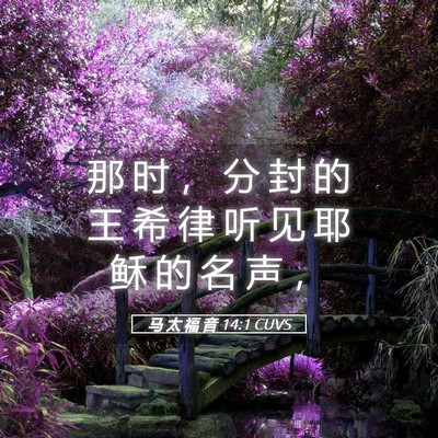 Picture 05 - 马 太 福 音 14:1 CUVS - 那 时 ， 分 封 的 王 希 律 听 见 耶 - Bible Verse Picture