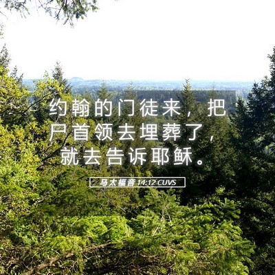 Picture 05 - 马 太 福 音 14:12 CUVS - 约 翰 的 门 徒 来 ， 把 尸 首 领 去 - Bible Verse Picture