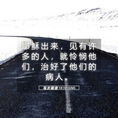 Picture 05 - 马 太 福 音 14:14 CUVS - 耶 稣 出 来 ， 见 有 许 多 的 人 ， - Bible Verse Picture