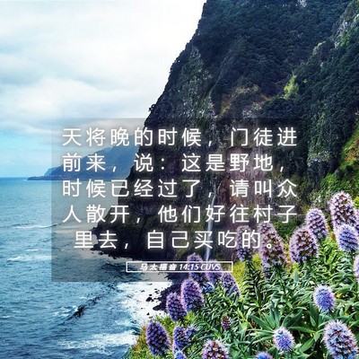 Picture 05 - 马 太 福 音 14:15 CUVS - 天 将 晚 的 时 候 ， 门 徒 进 前 来 - Bible Verse Picture