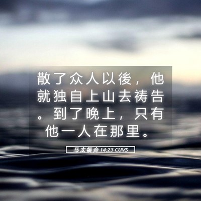 Picture 05 - 马 太 福 音 14:23 CUVS - 散 了 众 人 以 後 ， 他 就 独 自 上 - Bible Verse Picture