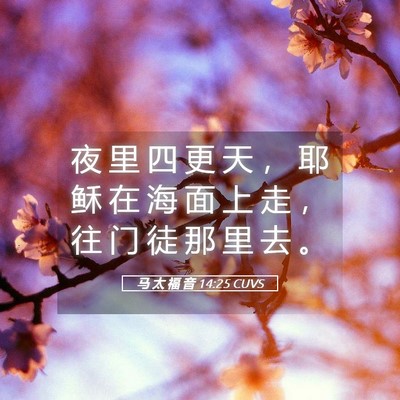 Picture 05 - 马 太 福 音 14:25 CUVS - 夜 里 四 更 天 ， 耶 稣 在 海 面 上 - Bible Verse Picture