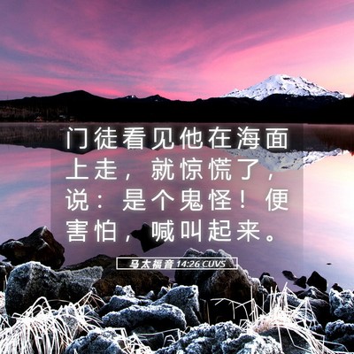 Picture 05 - 马 太 福 音 14:26 CUVS - 门 徒 看 见 他 在 海 面 上 走 ， 就 - Bible Verse Picture
