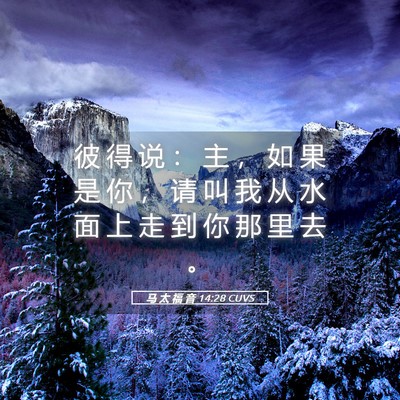 Picture 05 - 马 太 福 音 14:28 CUVS - 彼 得 说 ： 主 ， 如 果 是 你 ， 请 - Bible Verse Picture