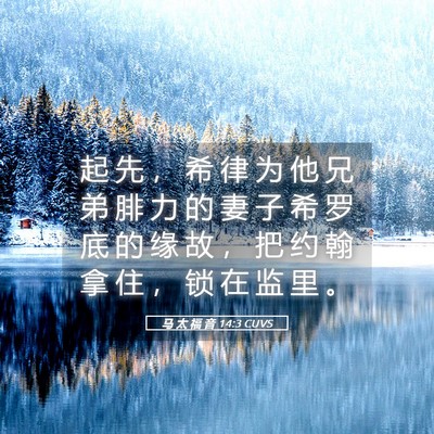 Picture 05 - 马 太 福 音 14:3 CUVS - 起 先 ， 希 律 为 他 兄 弟 腓 力 的 - Bible Verse Picture