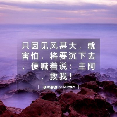 Picture 05 - 马 太 福 音 14:30 CUVS - 只 因 见 风 甚 大 ， 就 害 怕 ， 将 - Bible Verse Picture