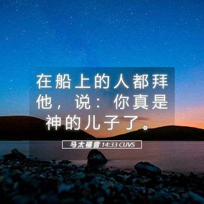 Picture 05 - 马 太 福 音 14:33 CUVS - 在 船 上 的 人 都 拜 他 ， 说 ： 你 - Bible Verse Picture