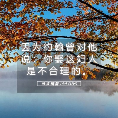 Picture 05 - 马 太 福 音 14:4 CUVS - 因 为 约 翰 曾 对 他 说 ： 你 娶 这 - Bible Verse Picture
