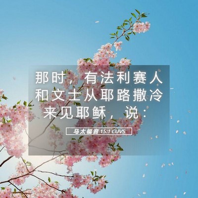 Picture 05 - 马 太 福 音 15:1 CUVS - 那 时 ， 有 法 利 赛 人 和 文 士 从 - Bible Verse Picture