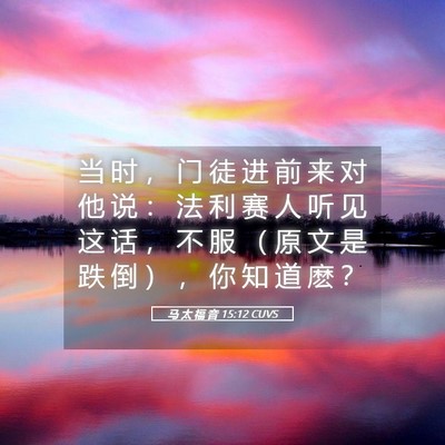 Picture 05 - 马 太 福 音 15:12 CUVS - 当 时 ， 门 徒 进 前 来 对 他 说 ： - Bible Verse Picture