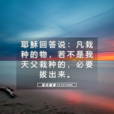 Picture 05 - 马 太 福 音 15:13 CUVS - 耶 稣 回 答 说 ： 凡 栽 种 的 物 ， - Bible Verse Picture