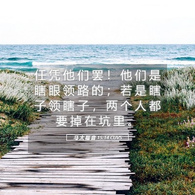 Picture 05 - 马 太 福 音 15:14 CUVS - 任 凭 他 们 罢 ！ 他 们 是 瞎 眼 领 - Bible Verse Picture