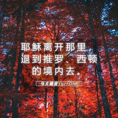 Picture 05 - 马 太 福 音 15:21 CUVS - 耶 稣 离 开 那 里 ， 退 到 推 罗 、 - Bible Verse Picture