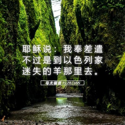 Picture 05 - 马 太 福 音 15:24 CUVS - 耶 稣 说 ： 我 奉 差 遣 不 过 是 到 - Bible Verse Picture
