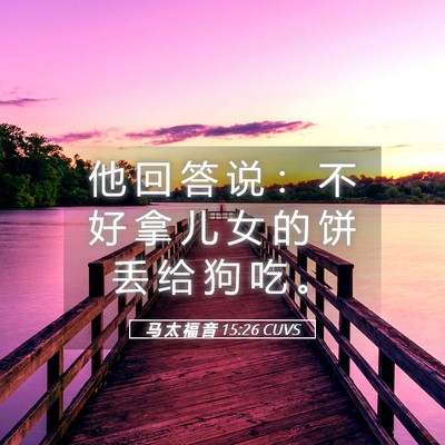 Picture 05 - 马 太 福 音 15:26 CUVS - 他 回 答 说 ： 不 好 拿 儿 女 的 饼 - Bible Verse Picture