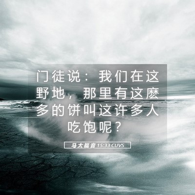 Picture 05 - 马 太 福 音 15:33 CUVS - 门 徒 说 ： 我 们 在 这 野 地 ， 那 - Bible Verse Picture
