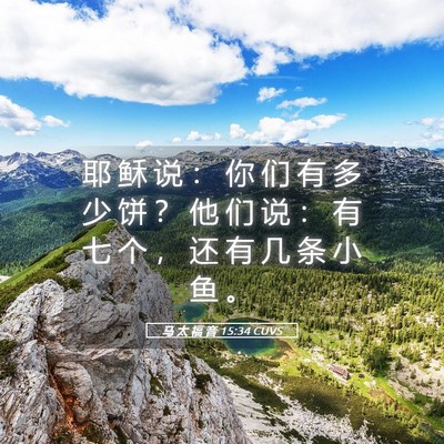 Picture 05 - 马 太 福 音 15:34 CUVS - 耶 稣 说 ： 你 们 有 多 少 饼 ？ 他 - Bible Verse Picture