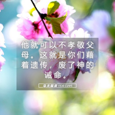 Picture 05 - 马 太 福 音 15:6 CUVS - 他 就 可 以 不 孝 敬 父 母 。 这 就 - Bible Verse Picture