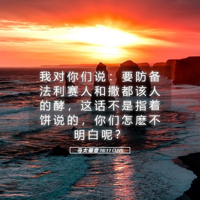 Picture 05 - 马 太 福 音 16:11 CUVS - 我 对 你 们 说 ： 要 防 备 法 利 赛 - Bible Verse Picture