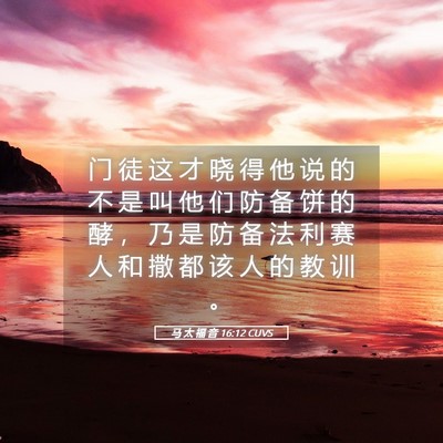 Picture 05 - 马 太 福 音 16:12 CUVS - 门 徒 这 才 晓 得 他 说 的 不 是 叫 - Bible Verse Picture