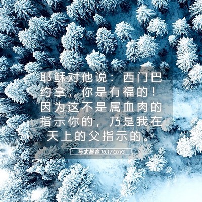 Picture 05 - 马 太 福 音 16:17 CUVS - 耶 稣 对 他 说 ： 西 门 巴 约 拿 ， - Bible Verse Picture