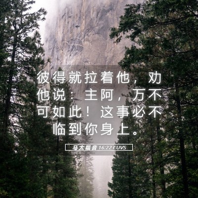 Picture 05 - 马 太 福 音 16:22 CUVS - 彼 得 就 拉 着 他 ， 劝 他 说 ： 主 - Bible Verse Picture