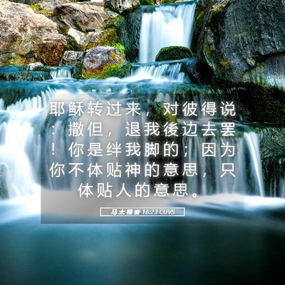 Picture 05 - 马 太 福 音 16:23 CUVS - 耶 稣 转 过 来 ， 对 彼 得 说 ： 撒 - Bible Verse Picture
