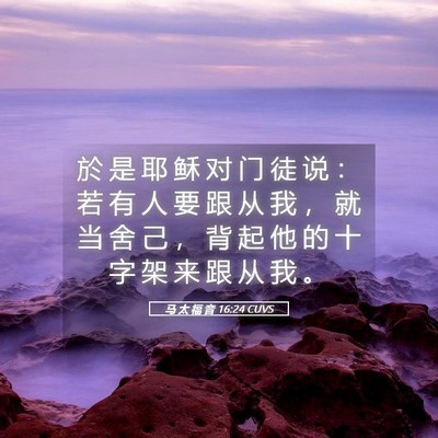 Picture 05 - 马 太 福 音 16:24 CUVS - 於 是 耶 稣 对 门 徒 说 ： 若 有 人 - Bible Verse Picture