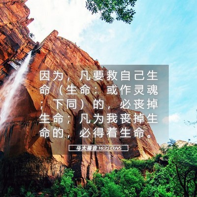 Picture 05 - 马 太 福 音 16:25 CUVS - 因 为 ， 凡 要 救 自 己 生 命 （ 生 - Bible Verse Picture
