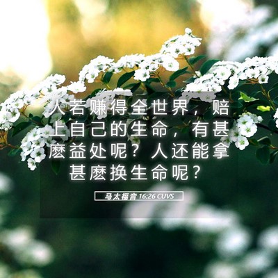 Picture 05 - 马 太 福 音 16:26 CUVS - 人 若 赚 得 全 世 界 ， 赔 上 自 己 - Bible Verse Picture