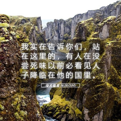 Picture 05 - 马 太 福 音 16:28 CUVS - 我 实 在 告 诉 你 们 ， 站 在 这 里 - Bible Verse Picture