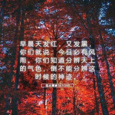 Picture 05 - 马 太 福 音 16:3 CUVS - 早 晨 天 发 红 ， 又 发 黑 ， 你 们 - Bible Verse Picture