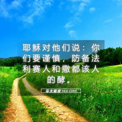 Picture 05 - 马 太 福 音 16:6 CUVS - 耶 稣 对 他 们 说 ： 你 们 要 谨 慎 - Bible Verse Picture