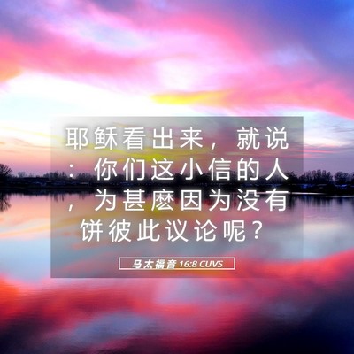 Picture 05 - 马 太 福 音 16:8 CUVS - 耶 稣 看 出 来 ， 就 说 ： 你 们 这 - Bible Verse Picture