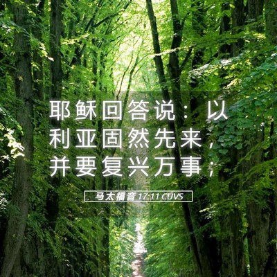 Picture 05 - 马 太 福 音 17:11 CUVS - 耶 稣 回 答 说 ： 以 利 亚 固 然 先 - Bible Verse Picture