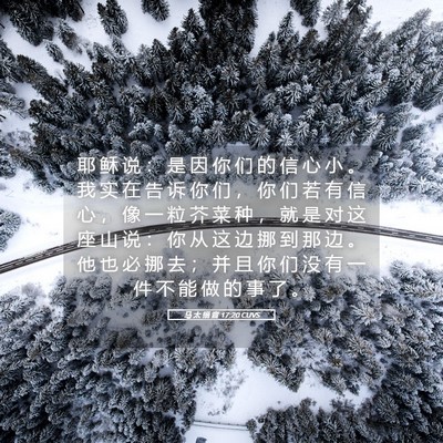 Picture 05 - 马 太 福 音 17:20 CUVS - 耶 稣 说 ： 是 因 你 们 的 信 心 小 - Bible Verse Picture