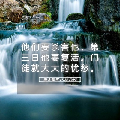 Picture 05 - 马 太 福 音 17:23 CUVS - 他 们 要 杀 害 他 ， 第 三 日 他 要 - Bible Verse Picture