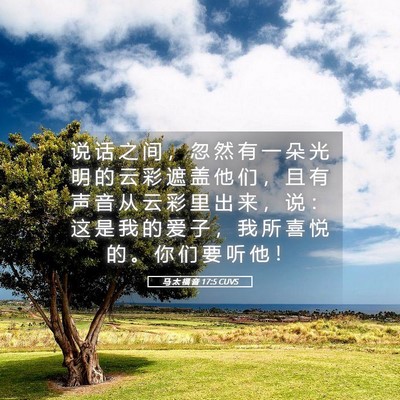 Picture 05 - 马 太 福 音 17:5 CUVS - 说 话 之 间 ， 忽 然 有 一 朵 光 明 - Bible Verse Picture
