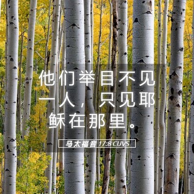 Picture 05 - 马 太 福 音 17:8 CUVS - 他 们 举 目 不 见 一 人 ， 只 见 耶 - Bible Verse Picture