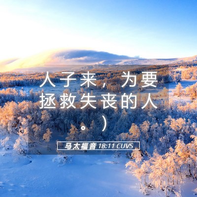 Picture 05 - 马 太 福 音 18:11 CUVS - 人 子 来 ， 为 要 拯 救 失 丧 的 人 - Bible Verse Picture